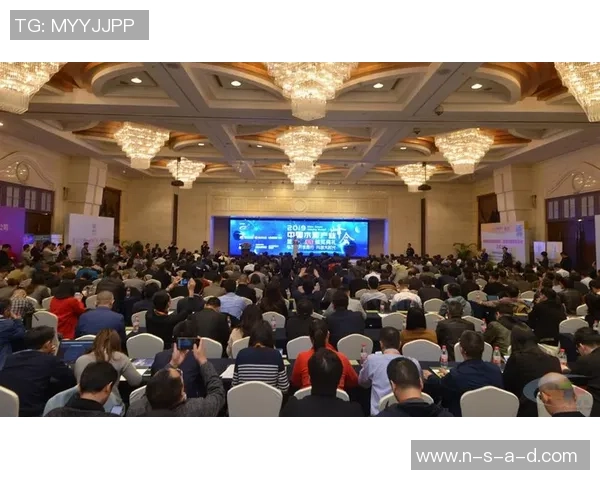 广州排球队重塑辉煌之路揭秘赛场背后的转型与挑战